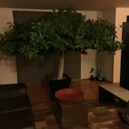 1 Habitacion Disponible Area Turistica Reforma Cdmx